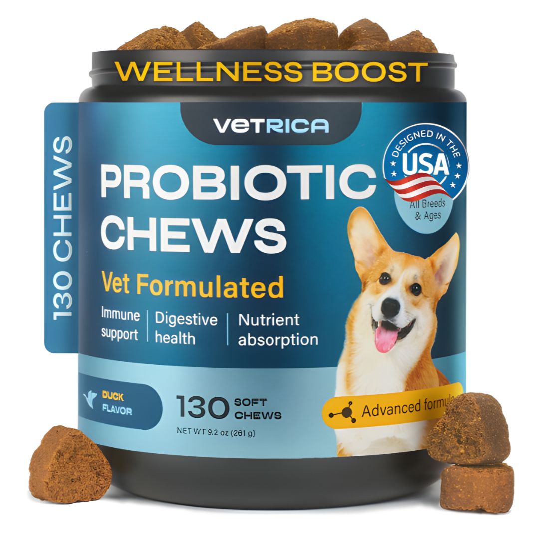 Probiotics for Dogs – Digestive, Gut & Immune Support Chews